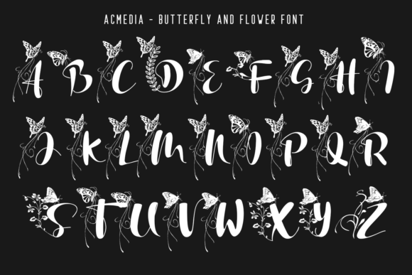 Acmedia Font - Preview 3