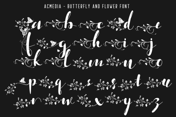 Acmedia Font - Preview 4