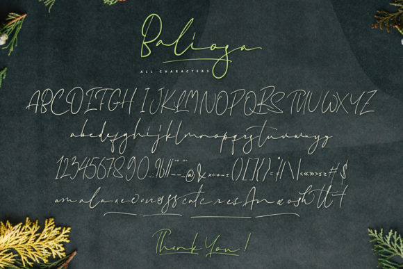 Baliosa Font - Preview 4