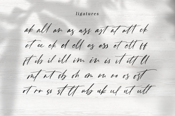 Fast Line Font - Preview 5