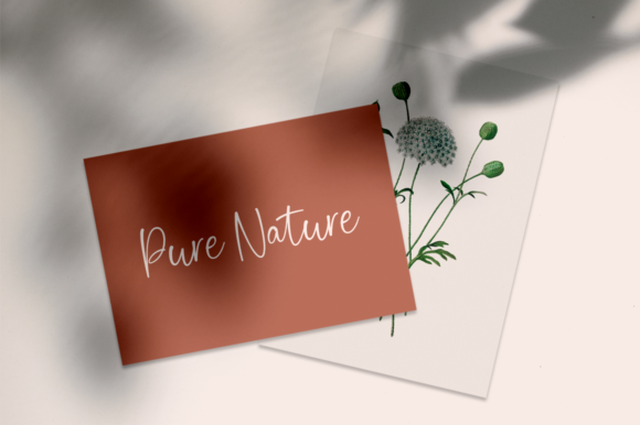 Gattone Font - Preview 4