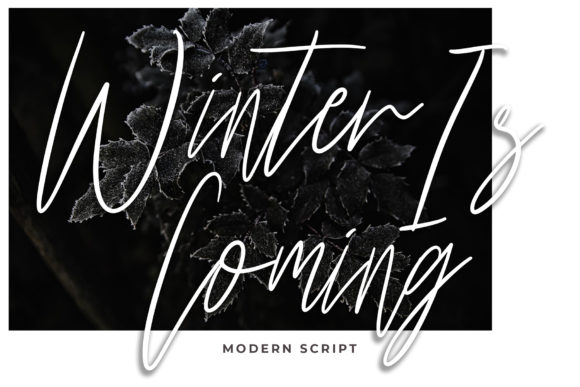 Harritton Font - Preview 2