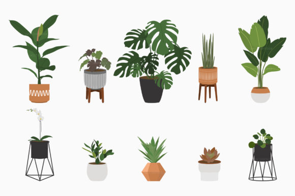 plants and pots for sale Seasonal Planter Delivery Subscription main image 1