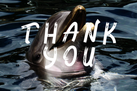 Little Dolphine Font PNG with transparent background - Preview 5