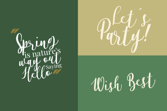 Alyssa Calligraphy Font - Preview 2
