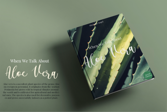 Alyssa Calligraphy Font - Preview 6