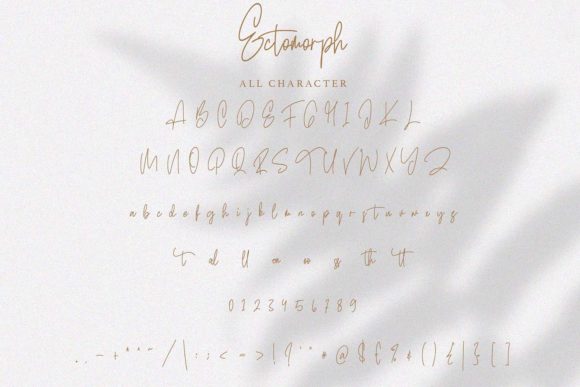 Ectomorph Font - Preview 4
