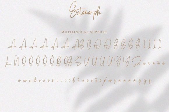 Ectomorph Font - Preview 5