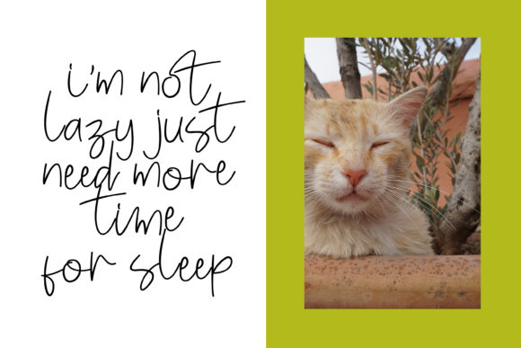 Enjoy Cat Font PNG with transparent background - Preview 1