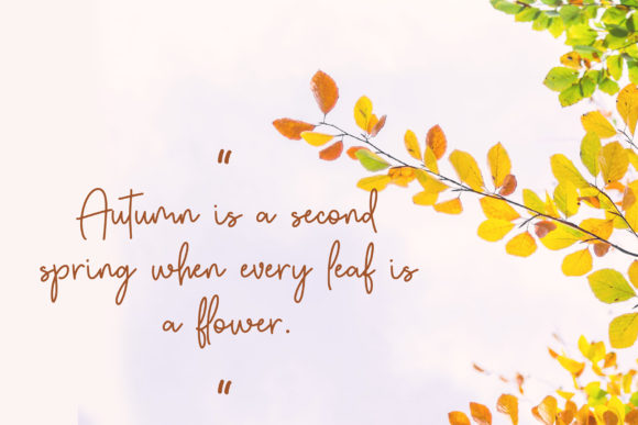 Autumn Fairy Font - Preview 5