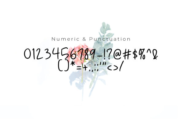 Beauty Font - Preview 3