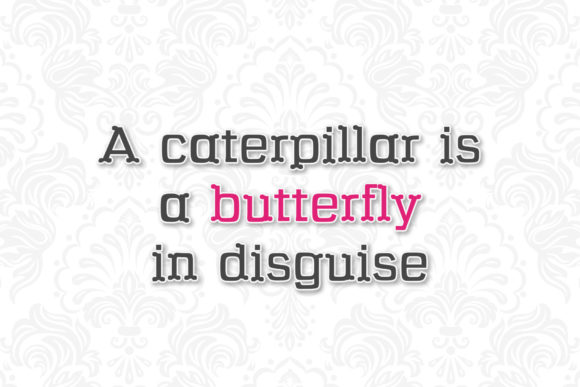 Butterfly Font - Preview 3