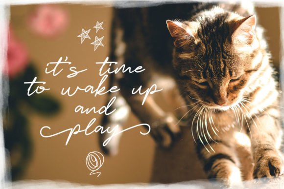 Catlove Font by fontherapy · Creative Fabrica