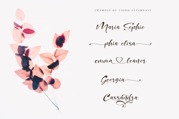 Dream of Heartland Font PNG with transparent background - Preview 2