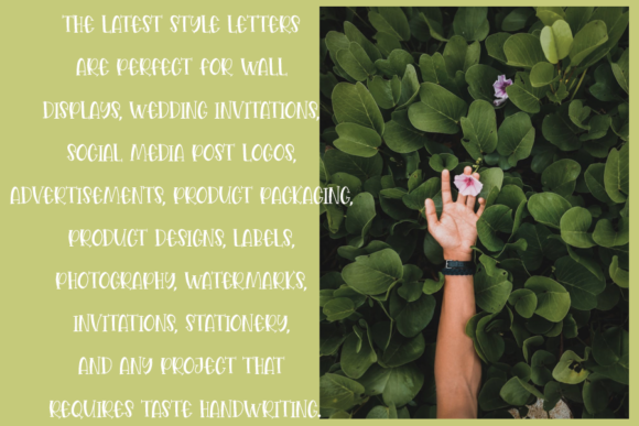 Annual Moment Font - Preview 2