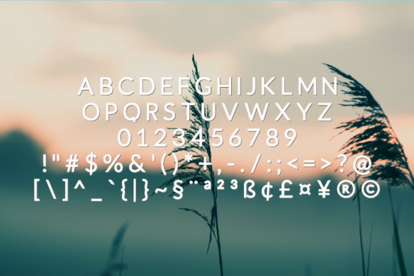 Boverly Font - Preview 1