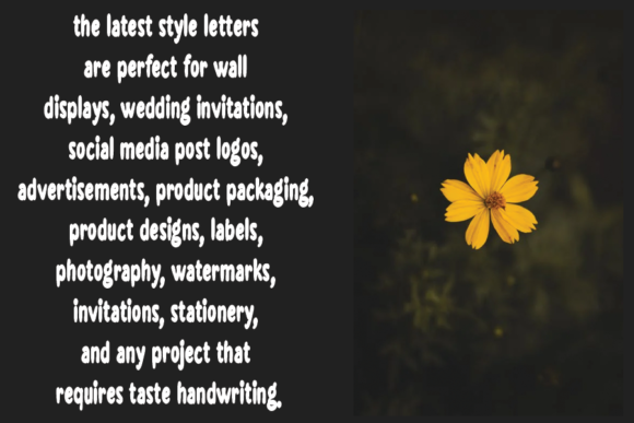 Brush Zone Font - Preview 2