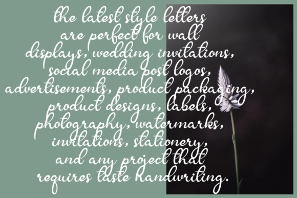 Butnerfly Font - Preview 2