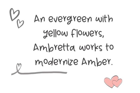 Fresh Ambretta Font PNG with transparent background - Preview 1