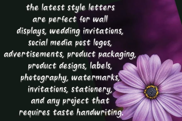 Heart House Font - Preview 2