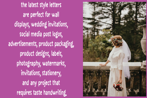 Homenice Font - Preview 2