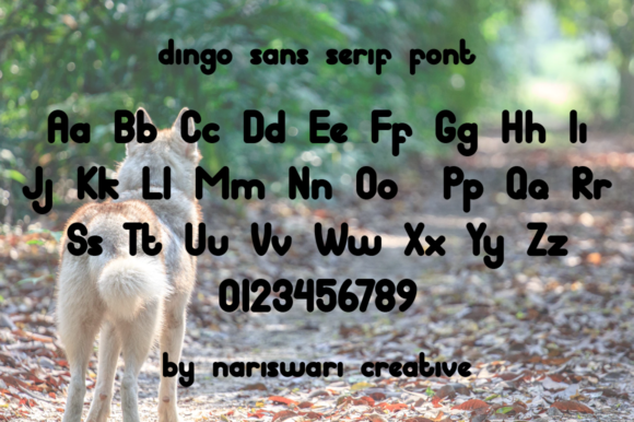 Dingo Font - Preview 1