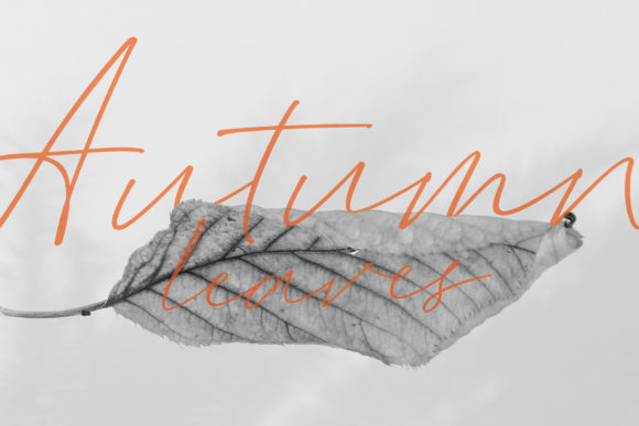 Essylla Font - Preview 2