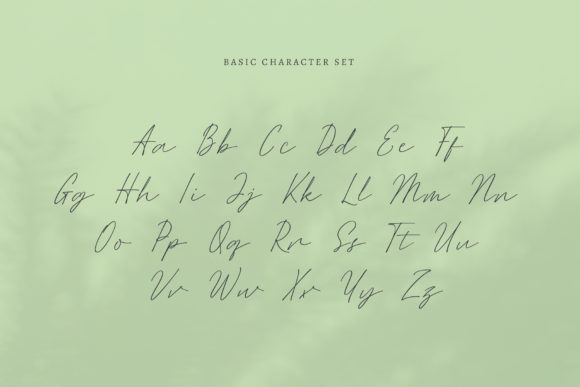 Essylla Font - Preview 5