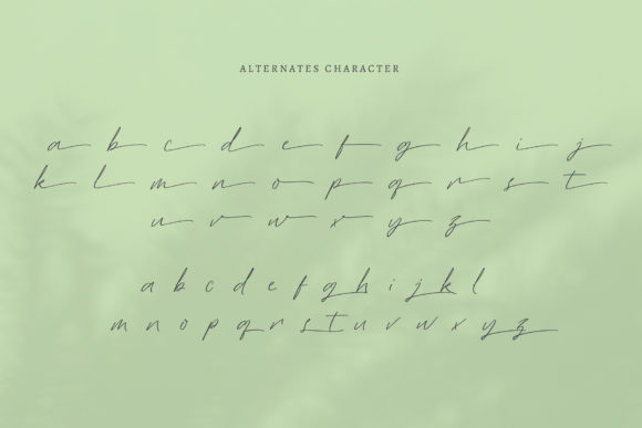 Essylla Font - Preview 6