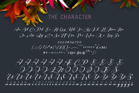 Mix Dimly Font PNG with transparent background - Preview 5