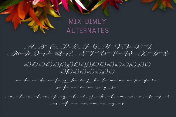 Mix Dimly Font PNG with transparent background - Preview 6