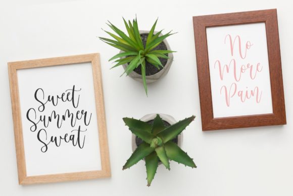 Birdside Font - Preview 2