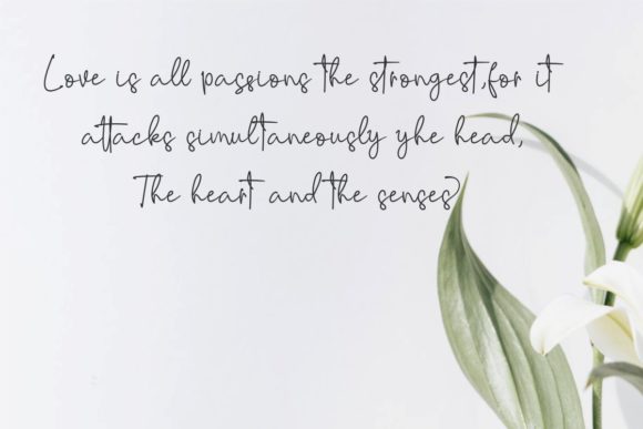 Riujin Palluy Font PNG with transparent background - Preview 2