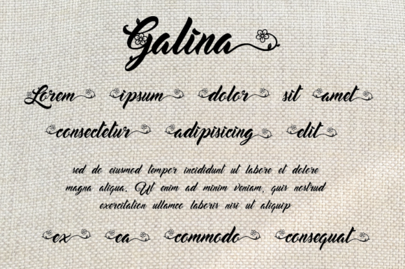 Galina Font - Preview 1