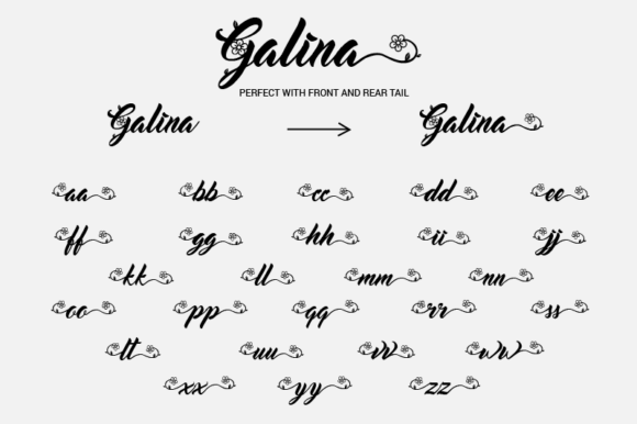 Galina Font - Preview 4