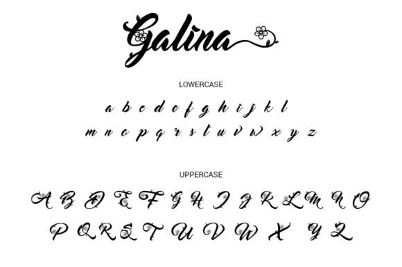 Galina Font - Preview 5