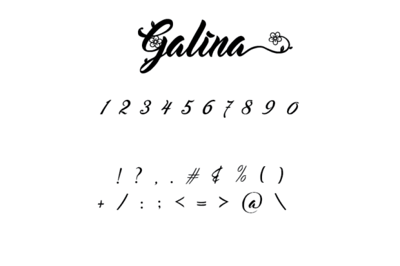 Galina Font - Preview 6