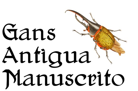 Gans Antigua Manuscrito Font - Preview 1