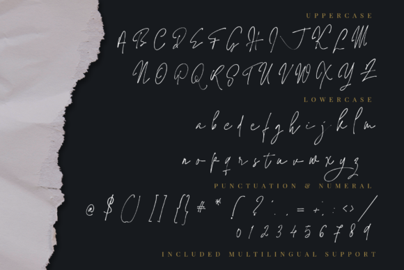 Jaccuzy Signature Font - Preview 3