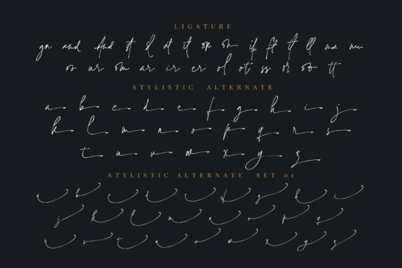 Jaccuzy Signature Font - Preview 4