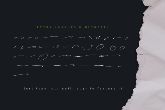 Jaccuzy Signature Font - Preview 6