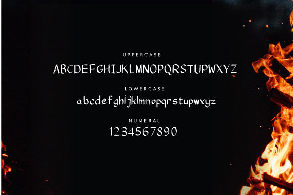 Areea Font - Preview 1