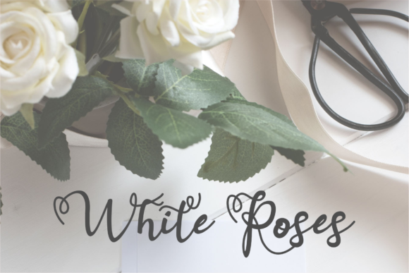 Berthany Font - Preview 6