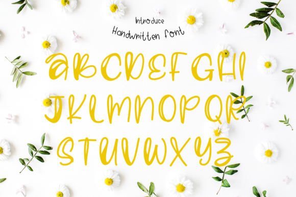 Felicity Font - Preview 1
