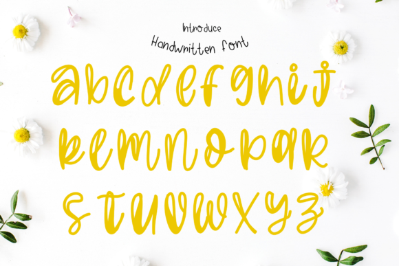 Felicity Font - Preview 2