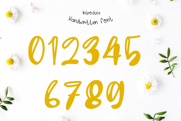 Felicity Font - Preview 3