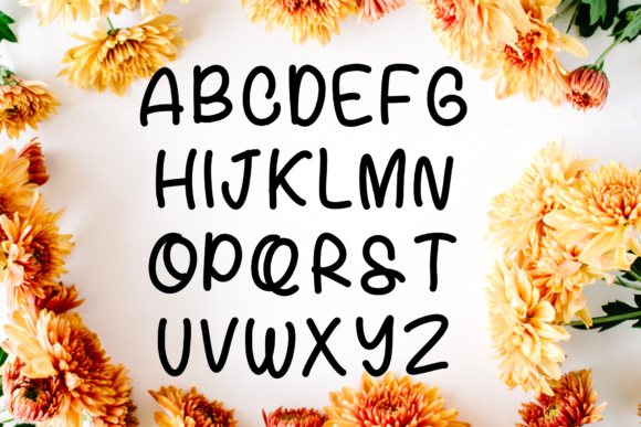 Gracelynn Font - Preview 1