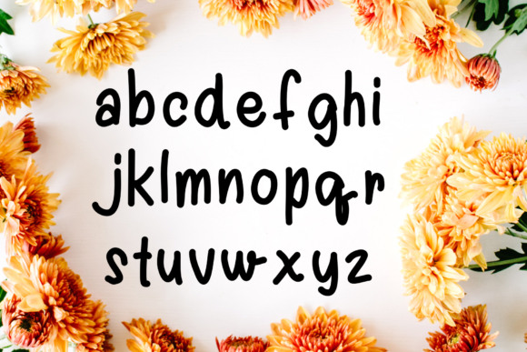 Gracelynn Font - Preview 2