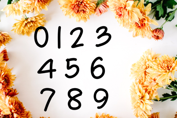 Gracelynn Font - Preview 3