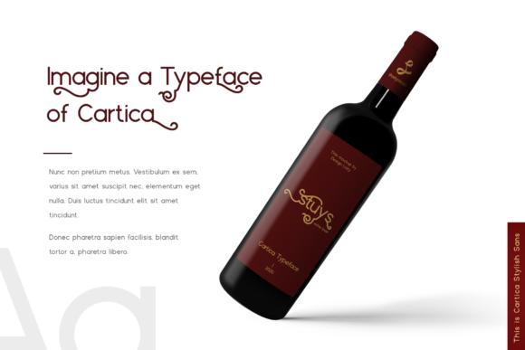 Cartica Font - Preview 3